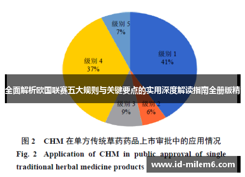 全面解析欧国联赛五大规则与关键要点的实用深度解读指南全册版精